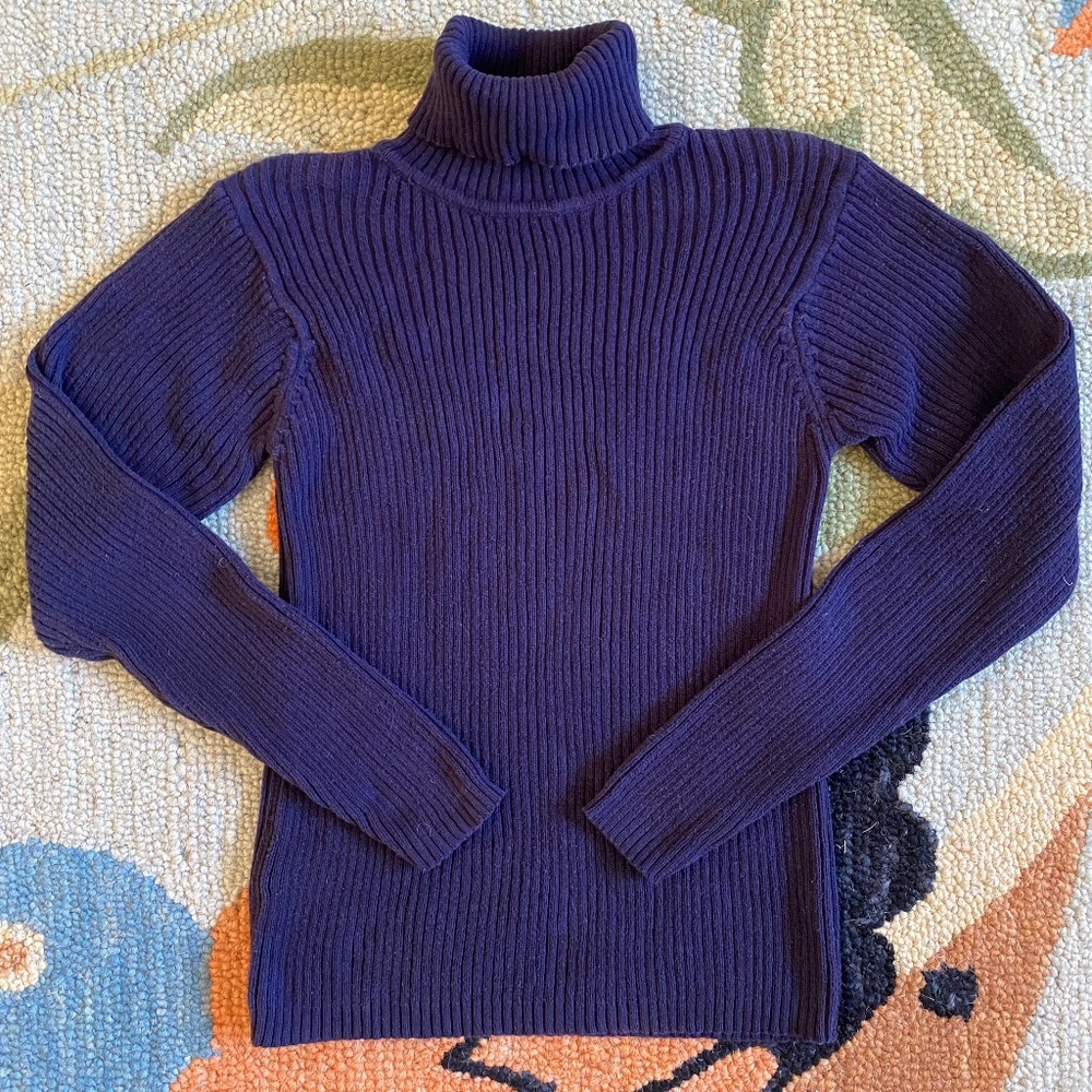 VTG I Jamie Scott I Purple Blue Ribbed Turtleneck Sweater